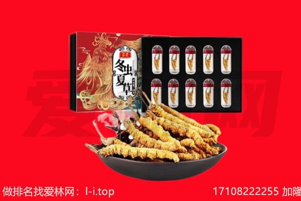 济宁兖州区回收虫草.jpg